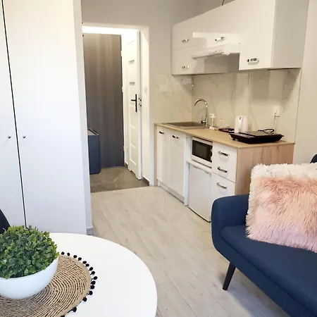 Apartment Mini Poznan