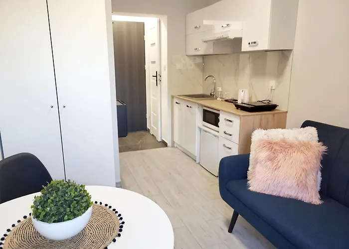 Apartment Mini Poznan